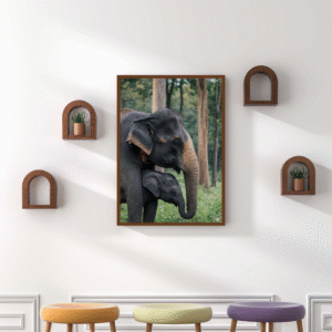 elephant-mother-and-baby-in-forest-wildlife-nature-image